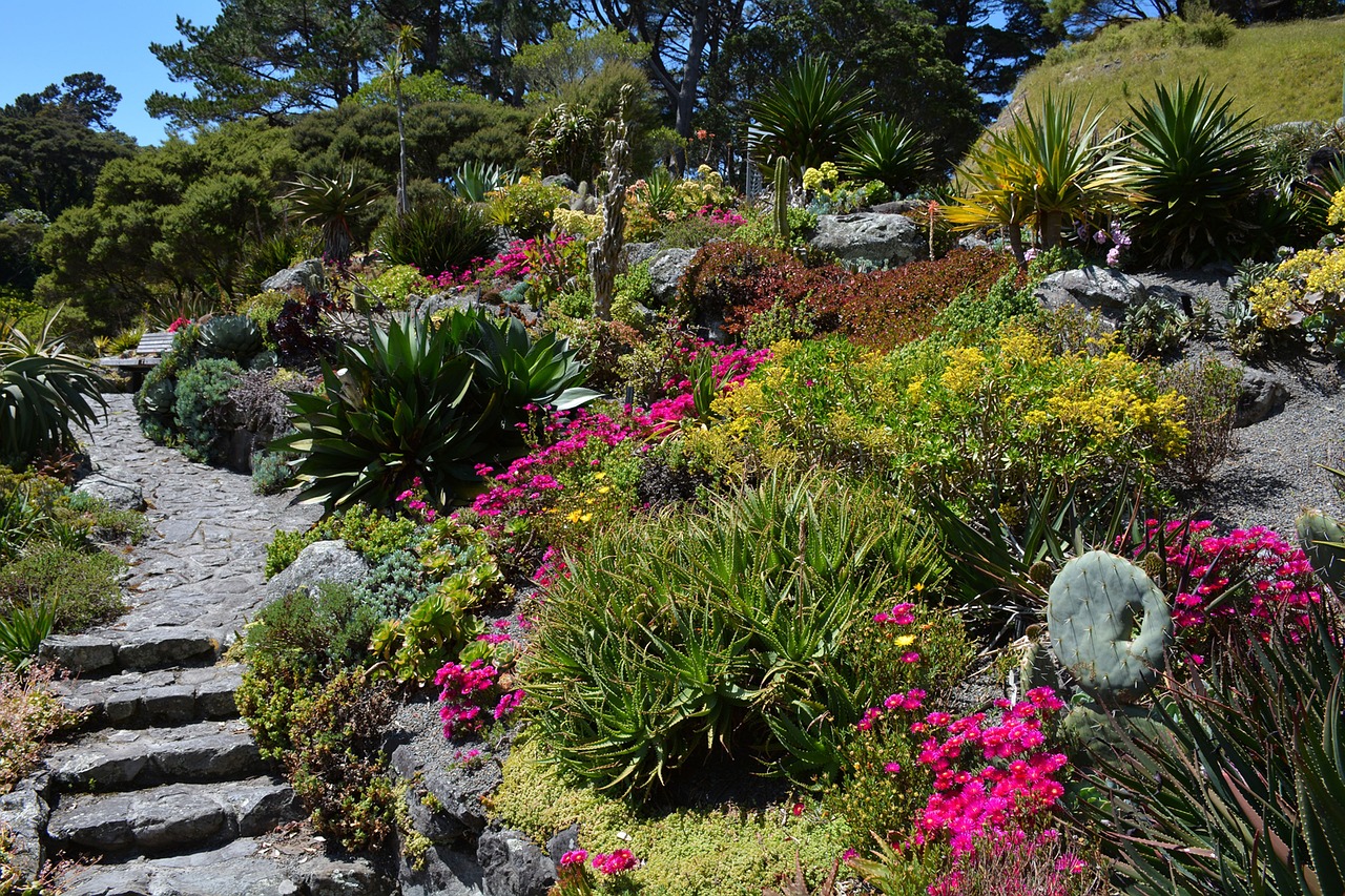 Neue Botanische Garten